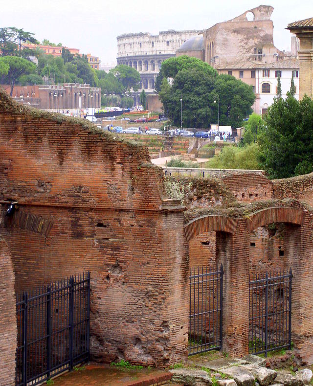 W głębi widać Koloseum