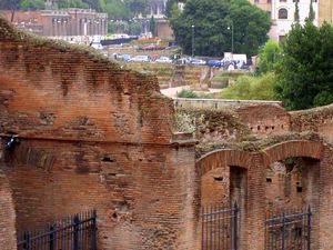 W głębi widać Koloseum
