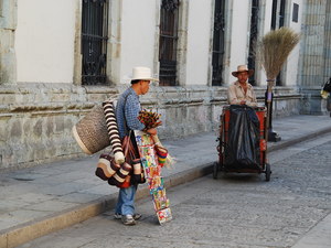 555949 - Oaxaca kraina kaktusów