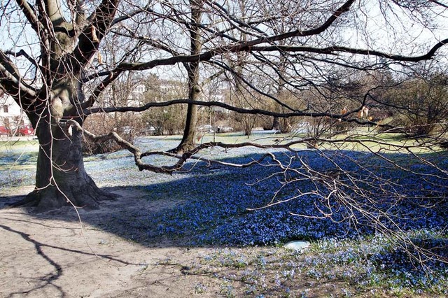 Łódź wiosną_2012    34