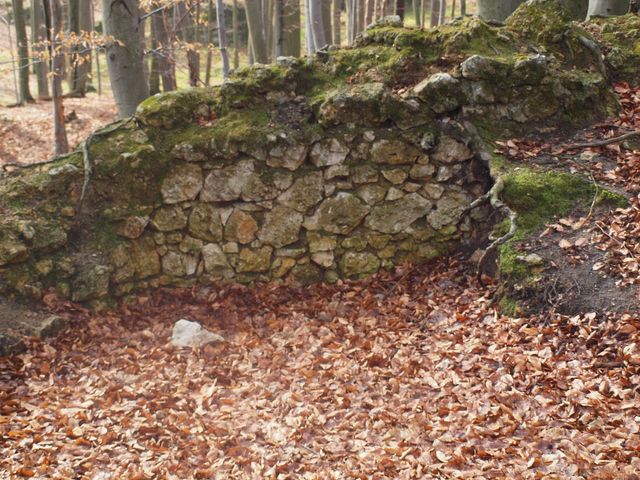 Zamek Ostrężnik - fragmenty murów
