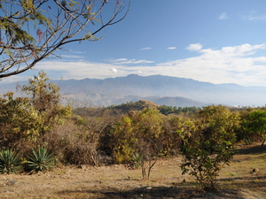 Monte Alban