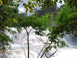 Aqua Azul
