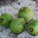 557456 - Palenque Ruiny w Palenque