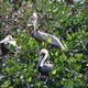 557553 - Uxmal Budowany trzy razy