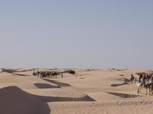 Tunezyjska Sahara