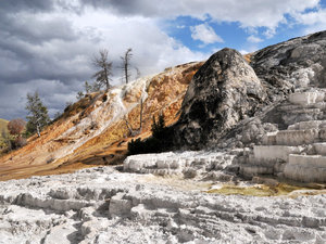 Yellowstone 06