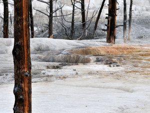 Yellowstone 07