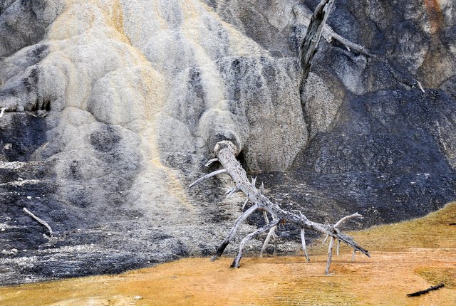 Yellowstone 08