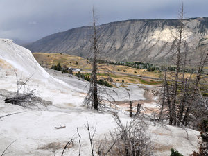 Yellowstone 09