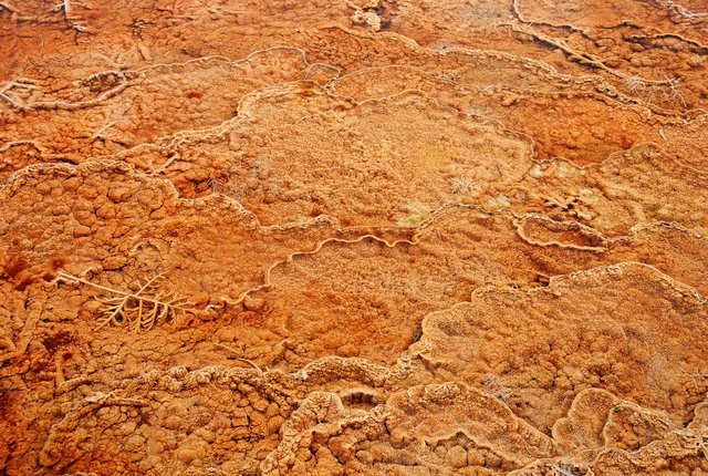Yellowstone 12