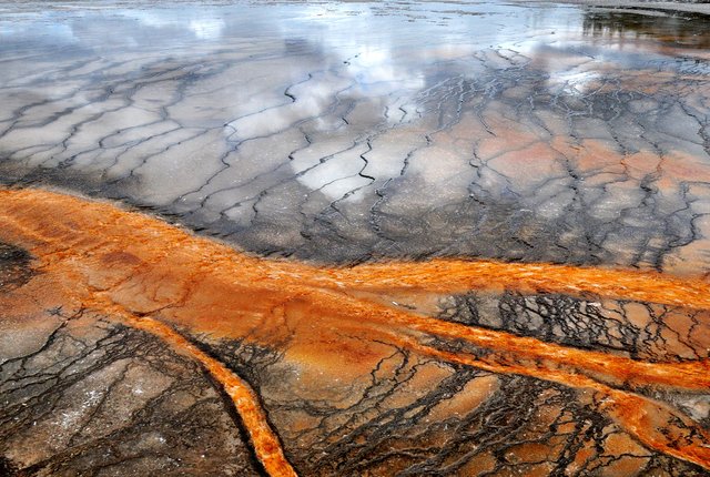 Yellowstone 13