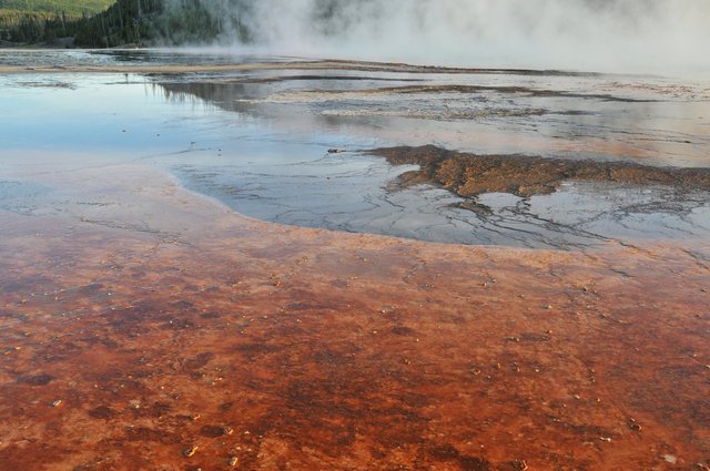 Yellowstone 15