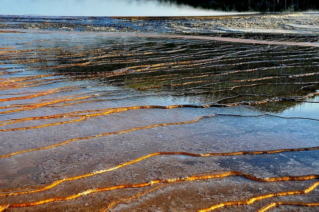Yellowstone 16