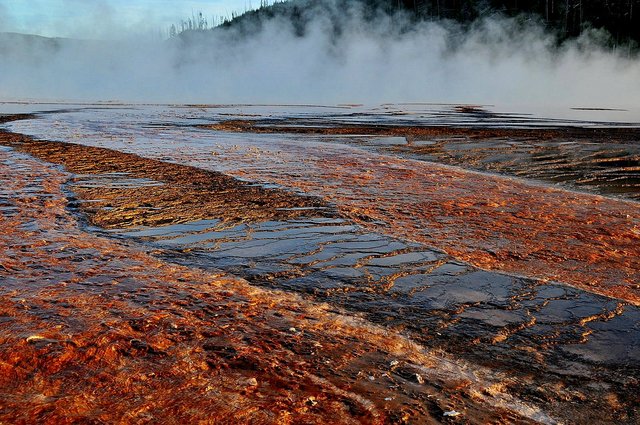 Yellowstone 18