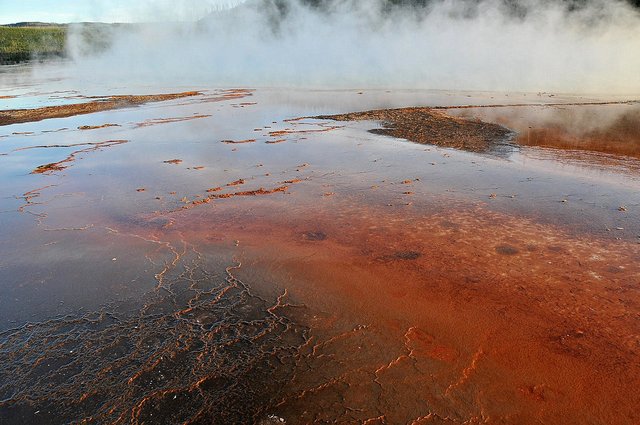 Yellowstone 19