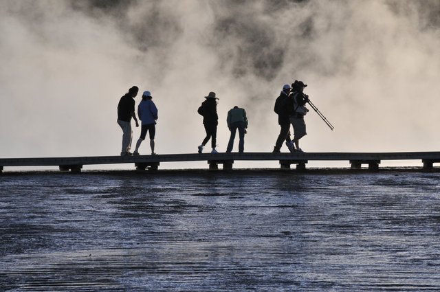 Yellowstone 21