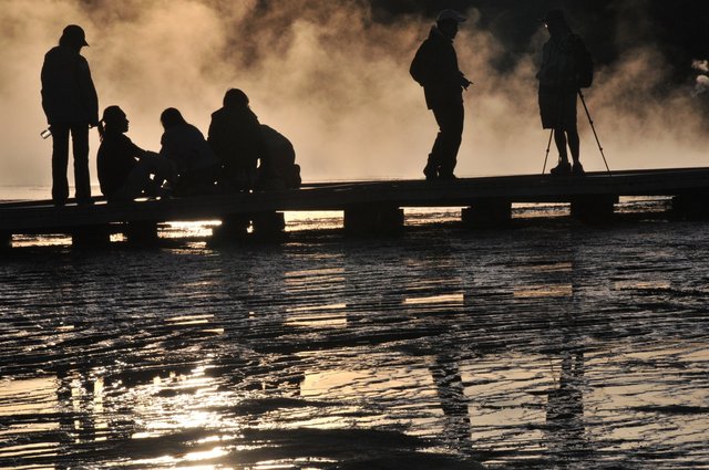 Yellowstone 22