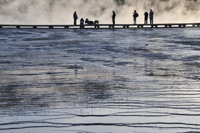 Yellowstone 25