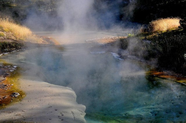 Yellowstone 27
