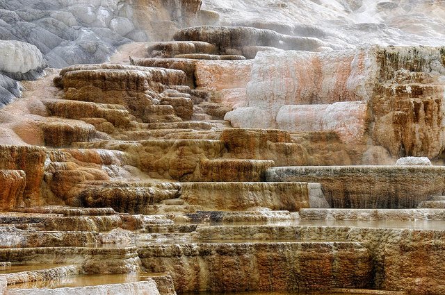 Yellowstone 29