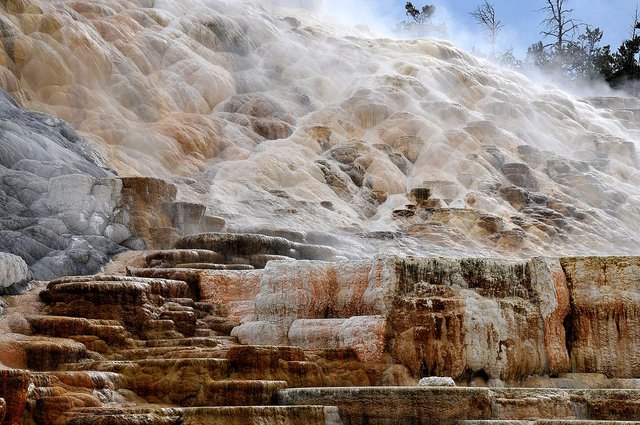 Yellowstone 30