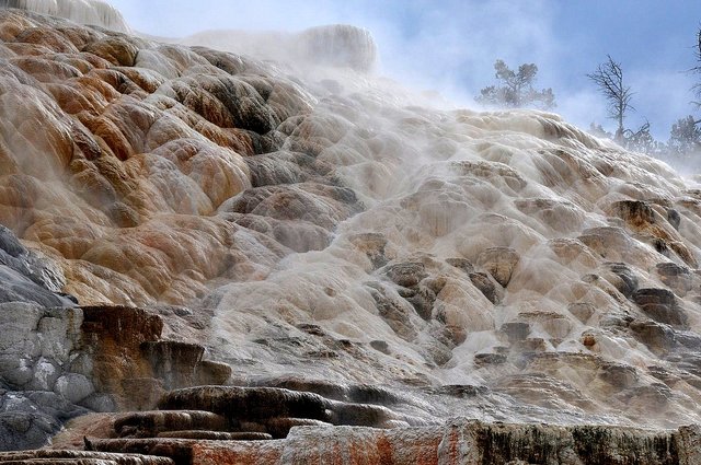 Yellowstone 31