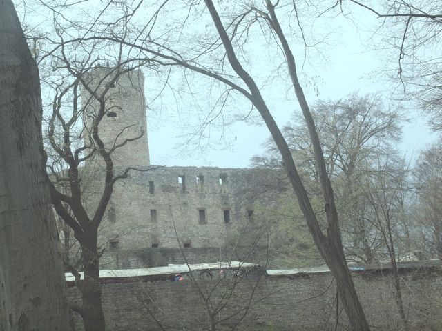 Ruiny Zamku Lipowiec