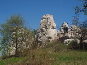 Ruiny Łutowca