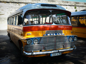 Autobus 5