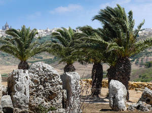 Gozo 25
