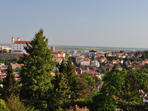 Widok na Zamek Królewski ze wzgórza Slavin