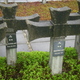 Palmiry