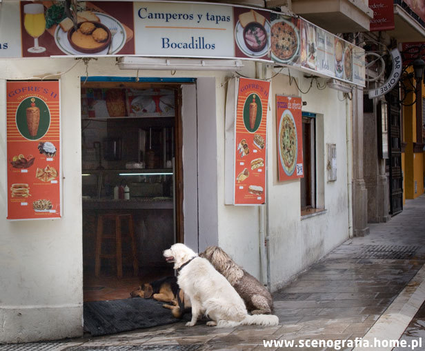 Siesta, Malaga. Fot. Wojciech Gdowski