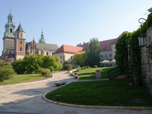 Wawel V