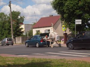 Kościelec