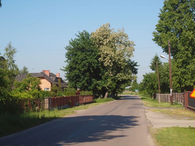Wieś Marianka Rędzińska