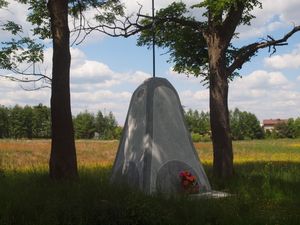 Dochodzę do Kruszyny