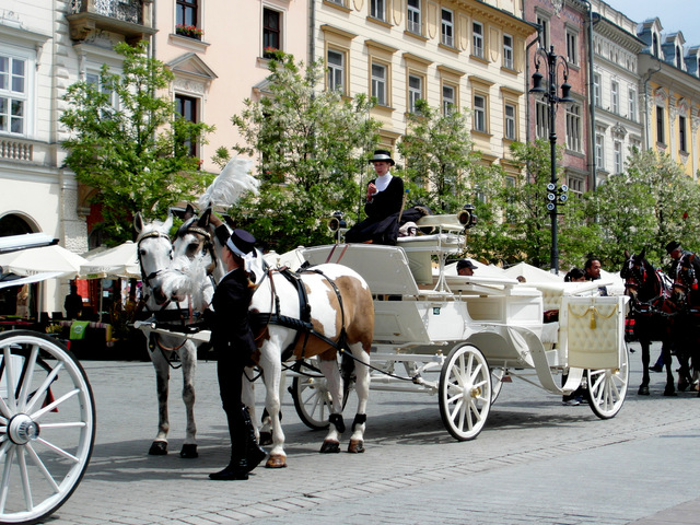 bryczki na Krakowskim Rynku