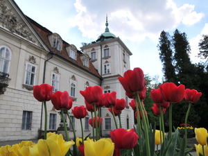 Pałac w Nieborowie 