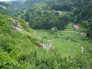 Widok z góry 