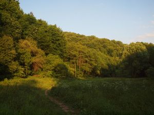 Dolina Sąspowska