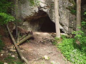Jaskinia Krowia