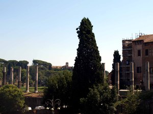 Forum Romanum 