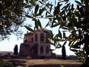 Forum Romanum 