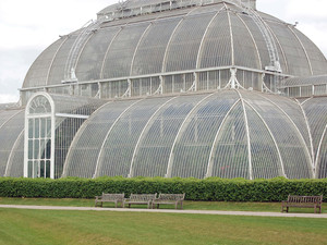 574844 - Kew gardens Królewskie Ogrody Botaniczne w Kew