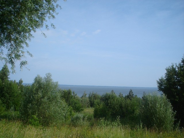 Panorama Na Zatokę Wiślaną