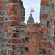 zamek w Radzyniu Chełmińskim