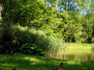 Ogród botaniczny