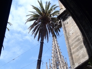 Barcelona   katedra sw eulalii2